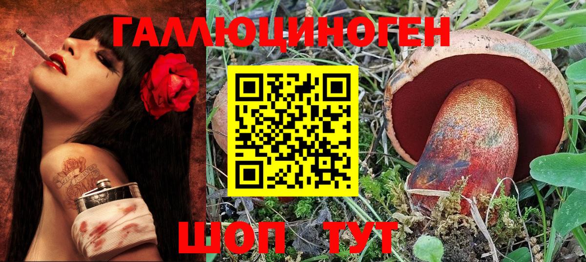 Псилоцибиновые грибы Psilocybine cubensis  Вход с VPN  Галлюциногенные грибы MAGIC MUSHROOMS  Нарткала 
